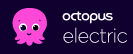 Octopus EV