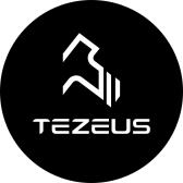 Tezeus Ebike DE [DE]