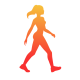 WalkFit